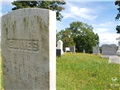 Eli Ives (1799-1863), l'homme qui planta ce noyer noir (en arrière-plan) vers 1815