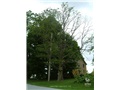 ostryer_pigeon_hill01