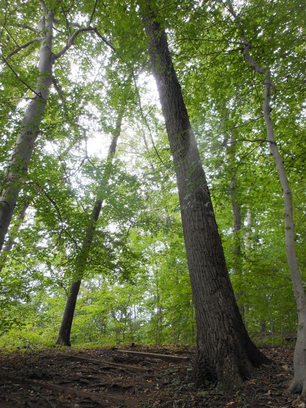 Brandywine State Park, 20  sept 2015.jpg