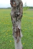 DSCN1723.JPG