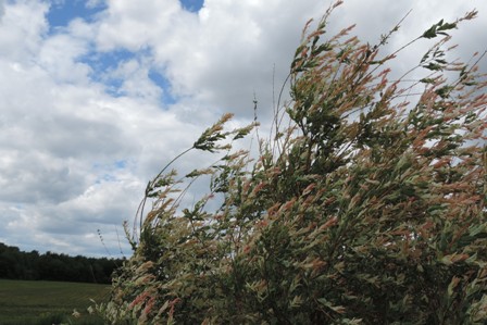 DSCN1813.JPG