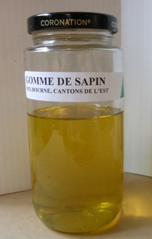 gomme de sapin, petite.jpg