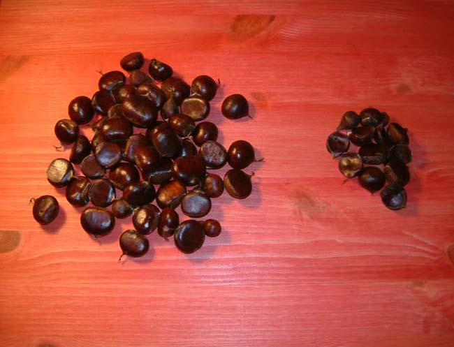 DSCF0001.jpg