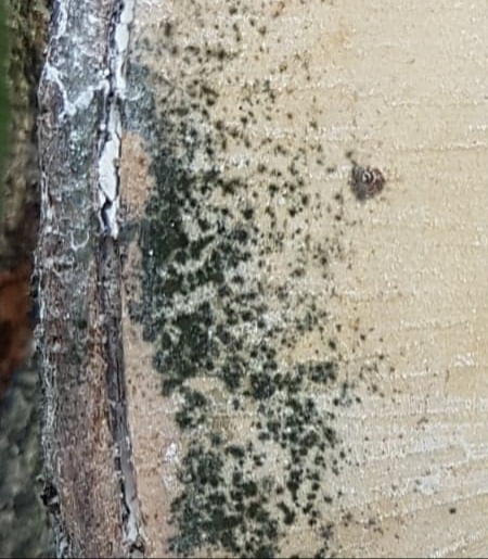 20180723_154816.jpg
