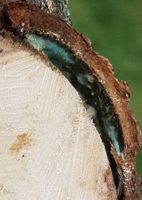 20180723_154917.jpg