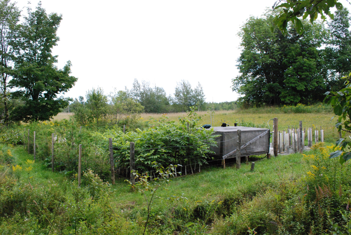 DSC_0122.JPG