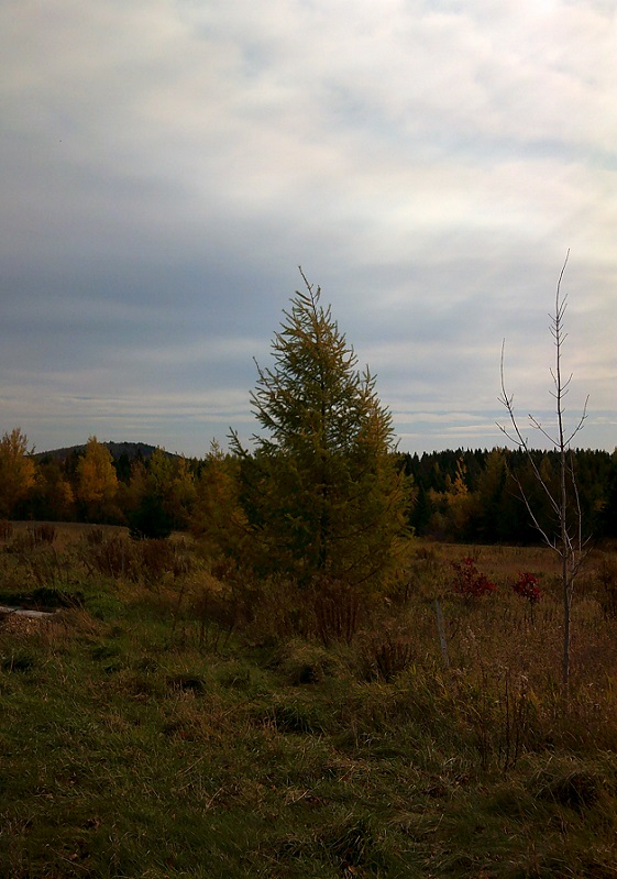 DSCF0647 (2).JPG