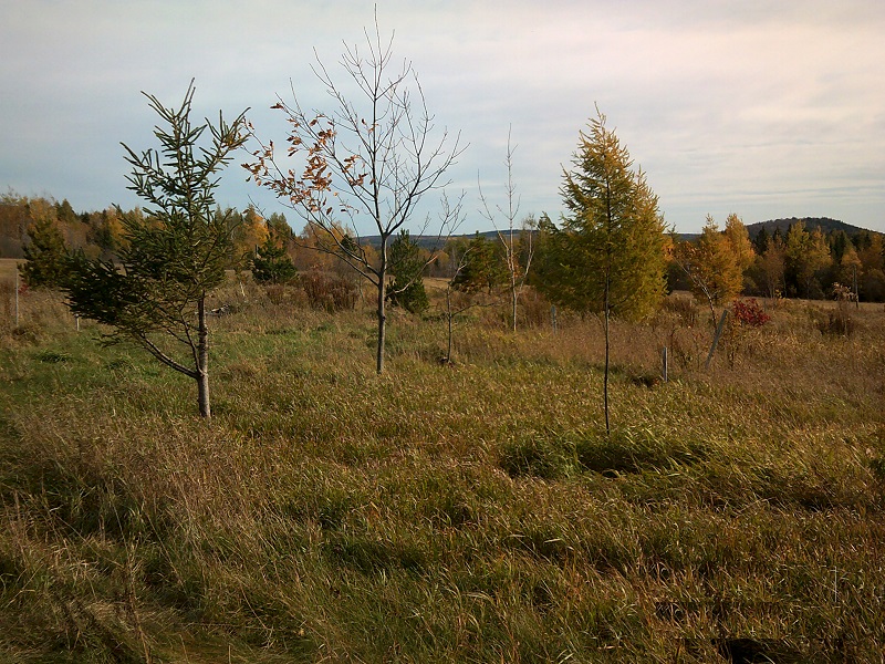 DSCF0673.JPG