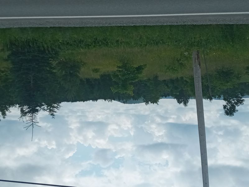 20230708_115341.jpg