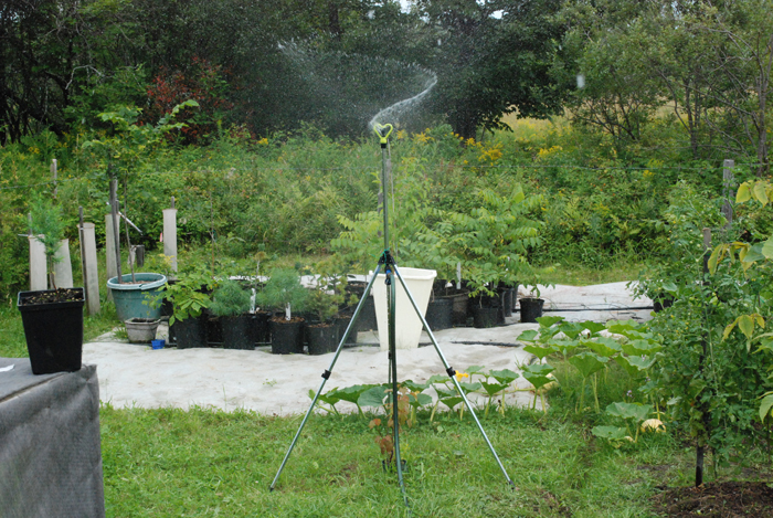 DSC_0105.JPG
