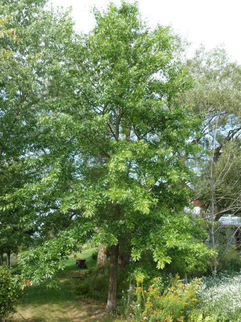 P1020758(1).JPG