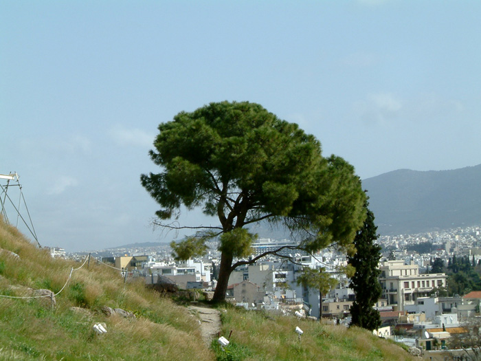 DSCF0030.jpg