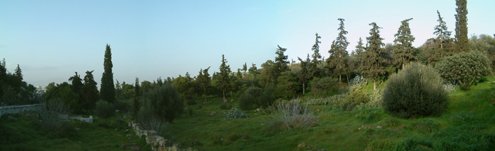 DSCF00091.jpg