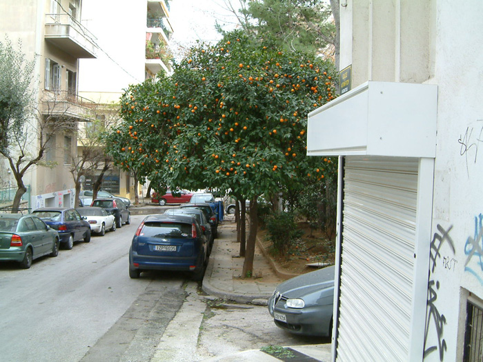 DSCF0203.jpg