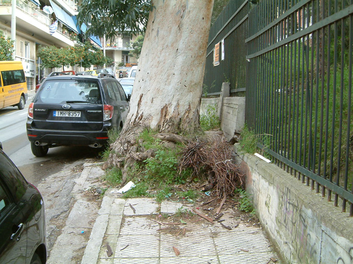 DSCF0214.jpg