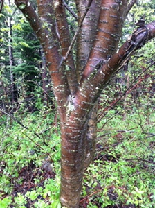 IMG_0687.jpg