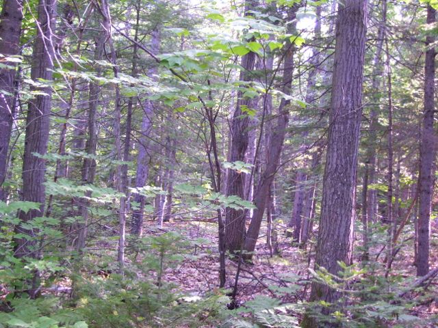 2011-08-13 010 (640x480).jpg