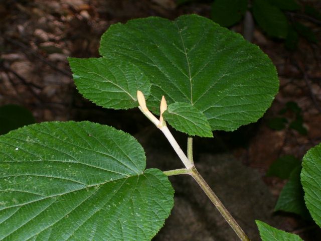 2011-08-13 025 (640x480).jpg