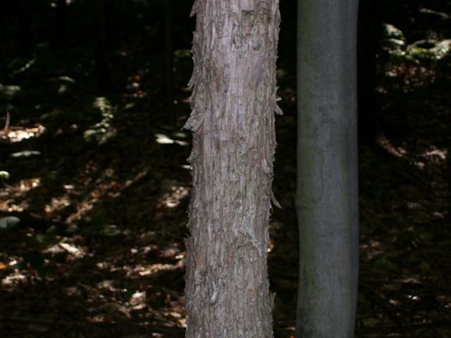 2011-08-13 028 (640x480).jpg