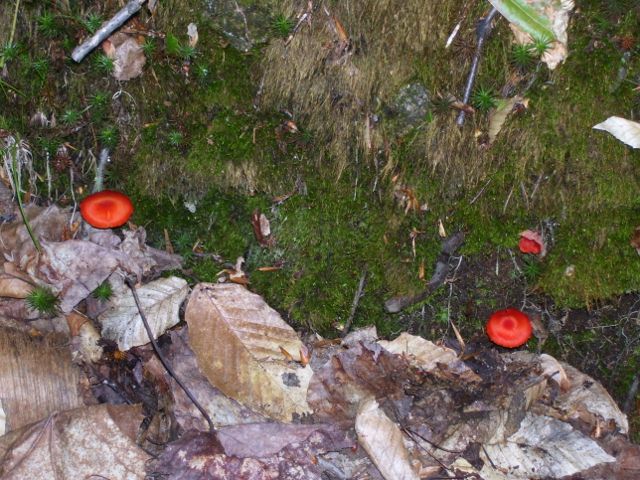 2011-08-13 043 (640x480).jpg