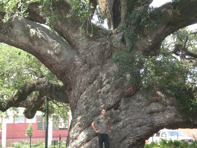 Lafayette_Louisiane_juin_2008 (22).JPG