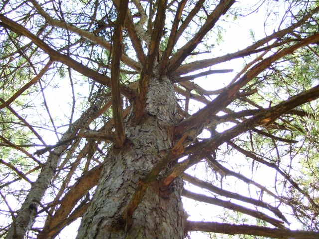 photo 2012 017 (640x480).jpg