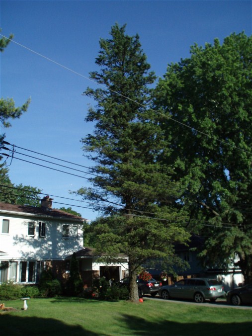 P6100011.JPG