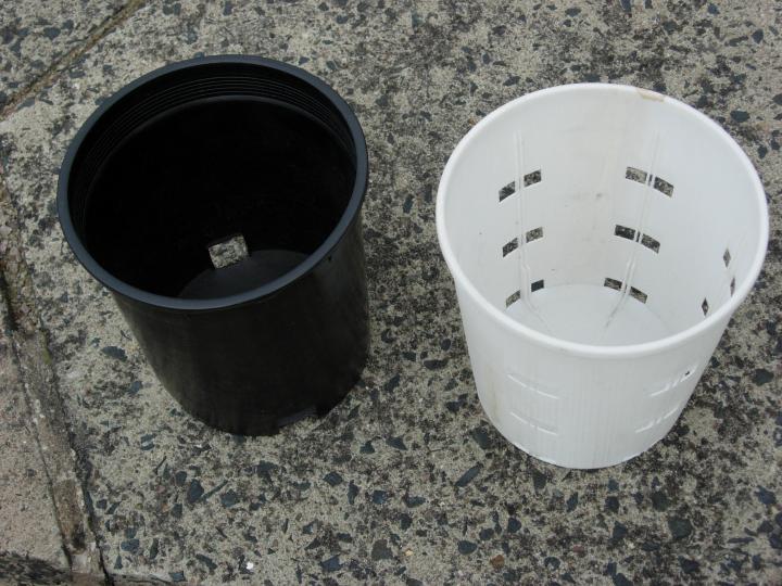 dscn0075.jpg