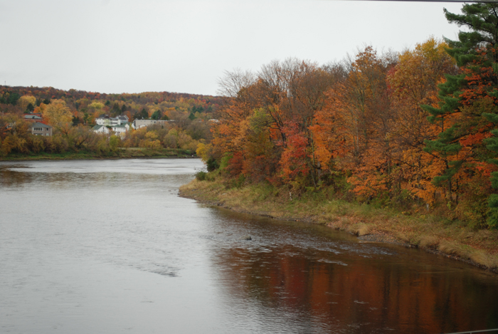 Foret_Champlain_College_Lennoxville_Octobre_2011 (59).jpg