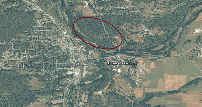 Emplacement_Foret_Champlain_College02.jpg