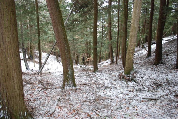 Prucheraie_Massawippi_Decembre_2012(1).JPG