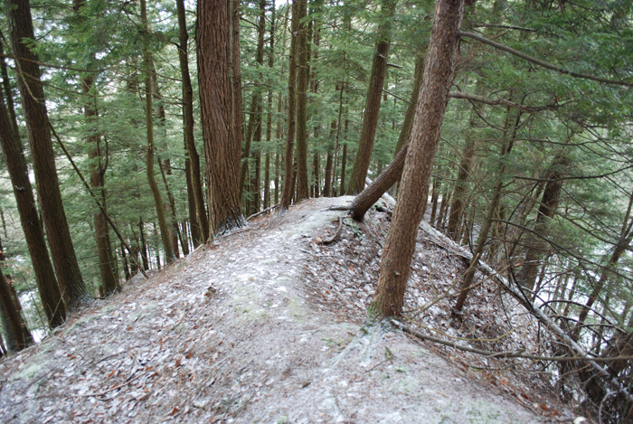 Prucheraie_Massawippi_Decembre_2012(25).JPG