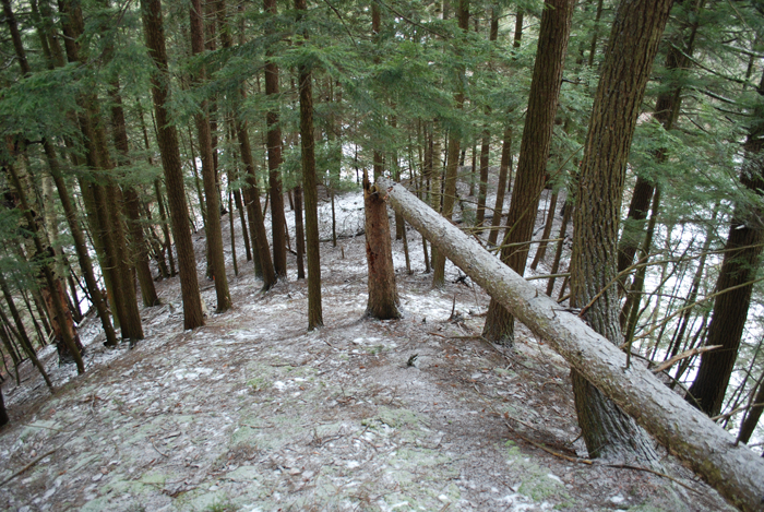 Prucheraie_Massawippi_Decembre_2012(33).JPG