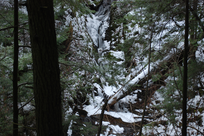 Prucheraie_Massawippi_Decembre_2012(39).JPG