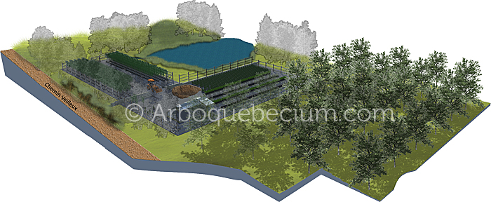 SITE_FUTURE_PEPINIERE1.jpg
