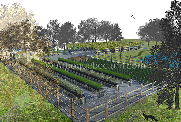 SITE_FUTURE_PEPINIERE7.jpg