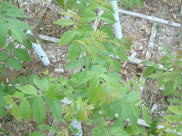 DSCF0004.jpg