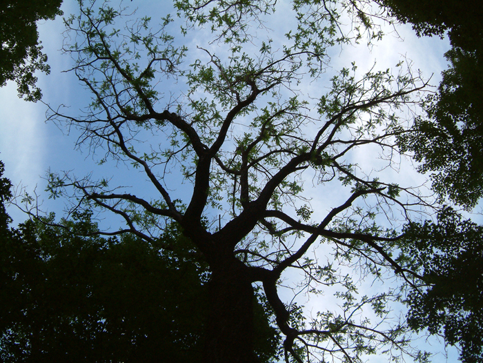 DSCF0002.jpg