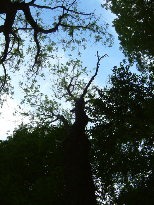 DSCF0001.jpg