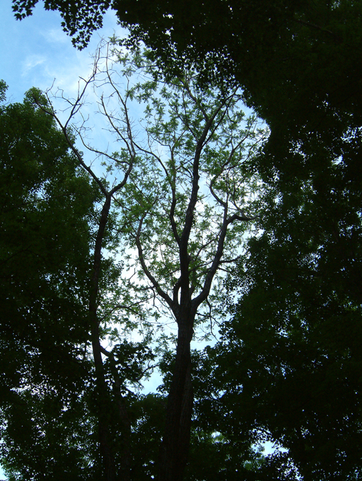 DSCF0003.jpg