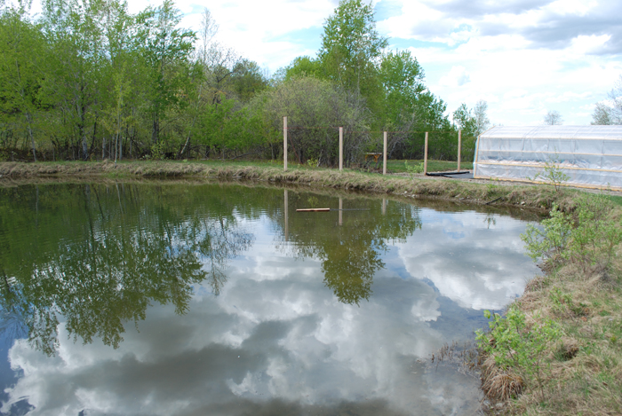 Etang_dirrigation.jpg