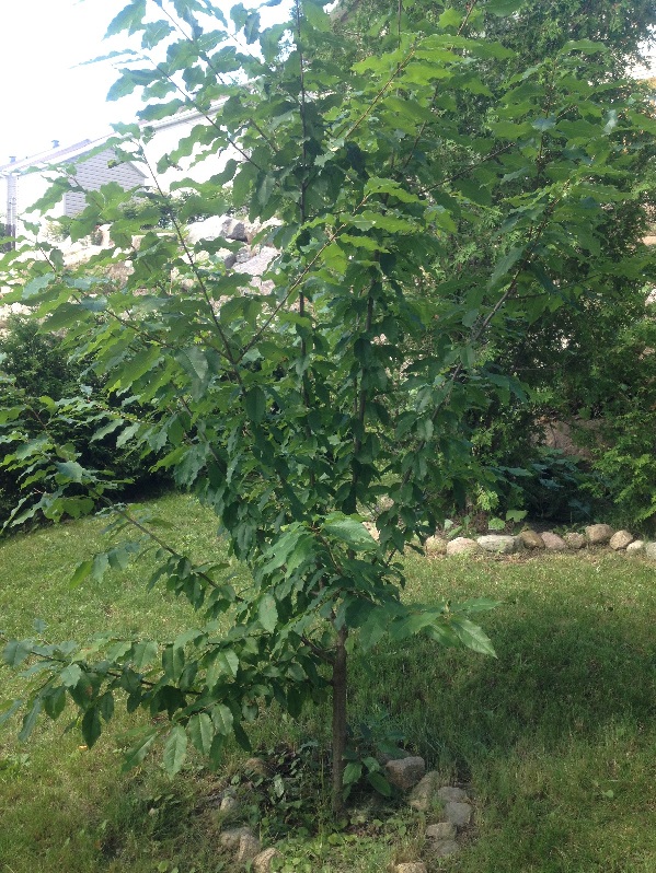 photo3.JPG
