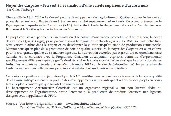 noyer des carpathes.JPG
