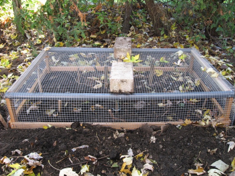 cage de protection, NN.jpg